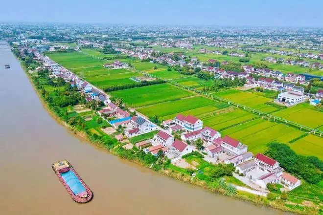 枝客户端, https